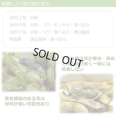 画像7: 一番お得「未選別さや」 10月お届け 丹波篠山黒枝豆  鮮度保持袋入 4ｋｇ
