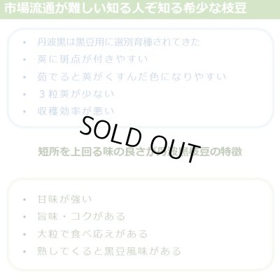 画像6: 一番お得「未選別さや」 10月お届け 丹波篠山黒枝豆  鮮度保持袋入 4ｋｇ