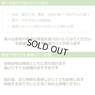 画像8: 10月お届け 【贈答用】丹波篠山黒枝豆 枝付2束（1kg×2束）