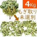 一番お得「未選別さや」 10月お届け 丹波篠山黒枝豆  鮮度保持袋入 4ｋｇ