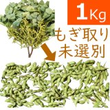 一番お得「未選別さや」 10月お届け 丹波篠山黒枝豆  鮮度保持袋入 1ｋｇ