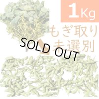 一番お得「未選別さや」 10月お届け 丹波篠山黒枝豆  鮮度保持袋入 1ｋｇ