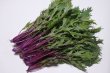 画像4: 丹波篠山の新米2kgつき☆紫や緑の彩り野菜セット (4)